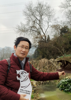 喜迎虎年：画家刘来顺先生创意画老虎作品.doc